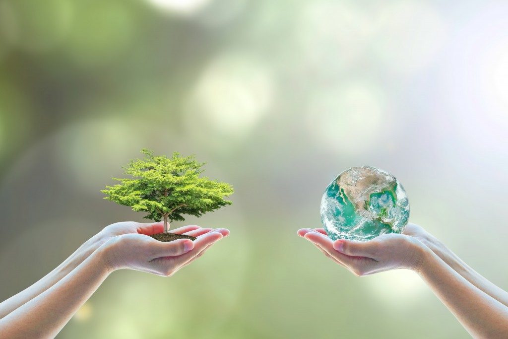 Two people holding a tree and a model of the earth showing nature and environment concept